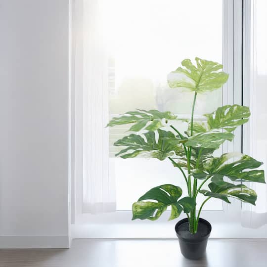 26" Premade Potted Monstera Plant by Ashland®